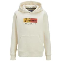 Textil Rapaz Sweats Jack & Jones  Bege