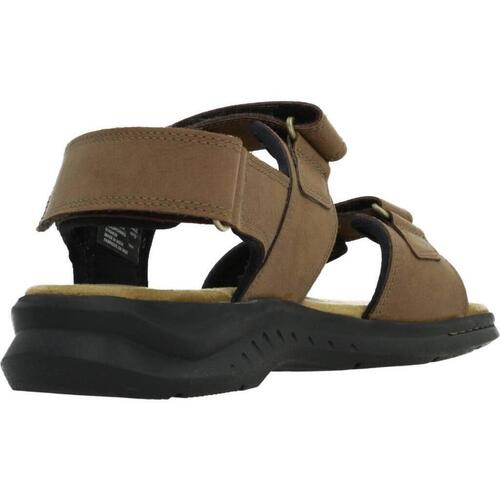 Clarks HAPSFORD CREEK Castanho
