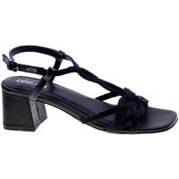 Sapatos Mulher Sandálias Dream 92981 Preto