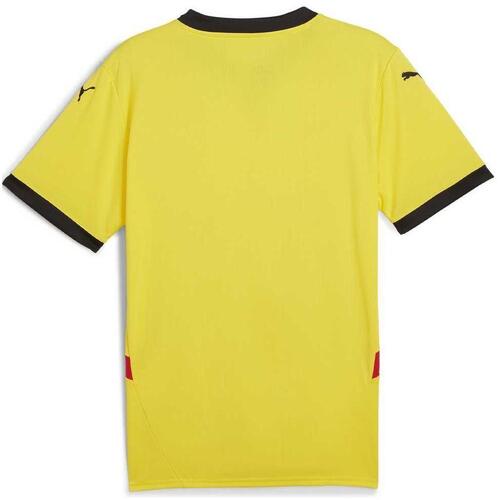 Puma  Vermelho
