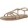 Sapatos Mulher Sandálias ALMA EN PENA V2551602 Castanho