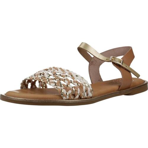 Sapatos Mulher Sandálias Porronet 3111PO Castanho