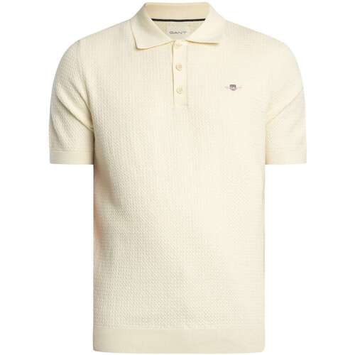 Textil Homem Polos mangas curta Gant Camisa polo de algodão texturizado Bege