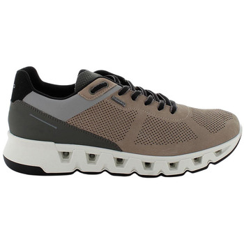 Sapatos Homem Sapatilhas IgI&CO NONAME Castanho