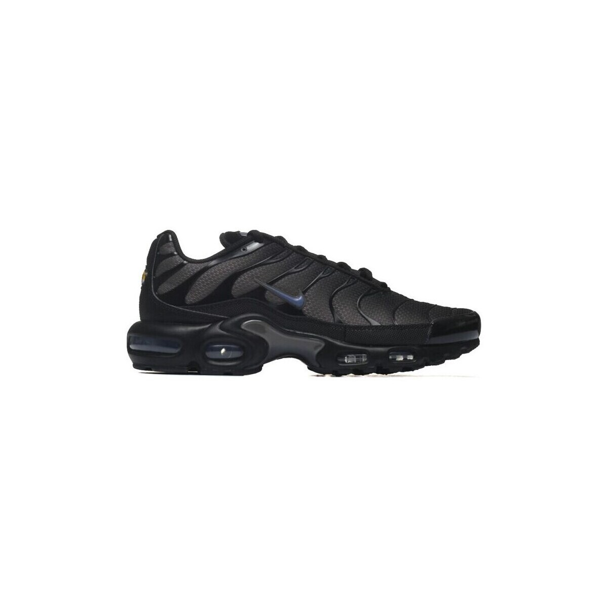 Sapatos Homem Sapatos & Richelieu Nike Air Max Plus 