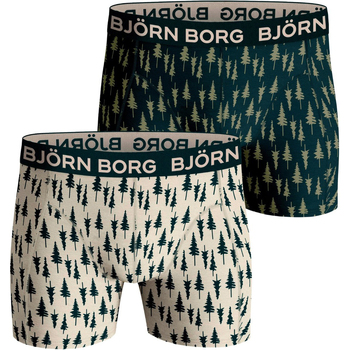 Roupa de interior Homem Boxer Björn Borg 2-Pack Core Boxers Multicolor