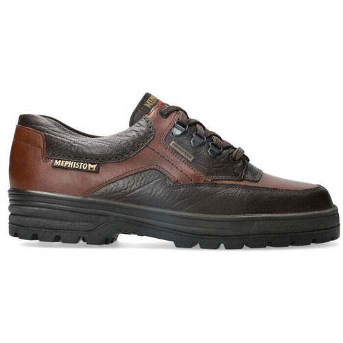 Sapatos Homem Sapatos & Richelieu Mephisto Barracuda Castanho