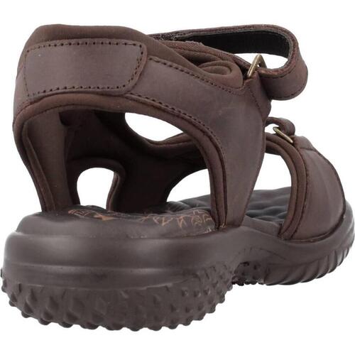 Panama Jack NILO BASICS B8 Castanho