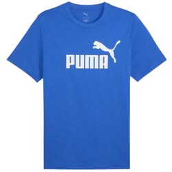Textil Homem T-Shirt mangas curtas Puma 68253313 