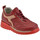 Sapatos Criança Sapatilhas Chicco Fox Lässige Vermelho