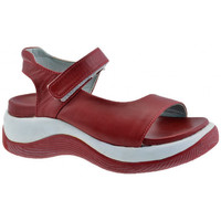 Sapatos Criança Sapatilhas Fornarina Sandali Vermelho
