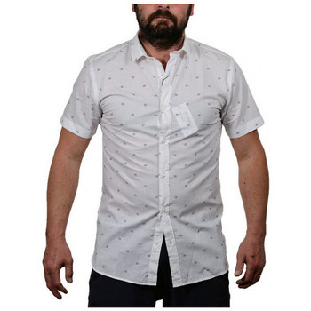 Textil Homem T-shirts e Pólos Jack & Jones Mozz Branco