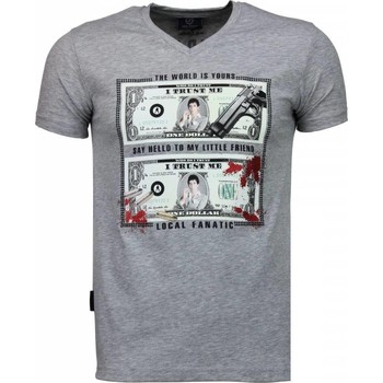 Textil Homem T-Shirt mangas curtas Local Fanatic 15221946 Cinza