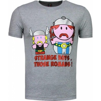 Textil Homem T-Shirt mangas curtas Local Fanatic 29226160 Cinza
