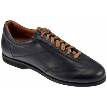 Sapatos Homem Sapatilhas Calzoleria Toscana 1301  Walk Preto