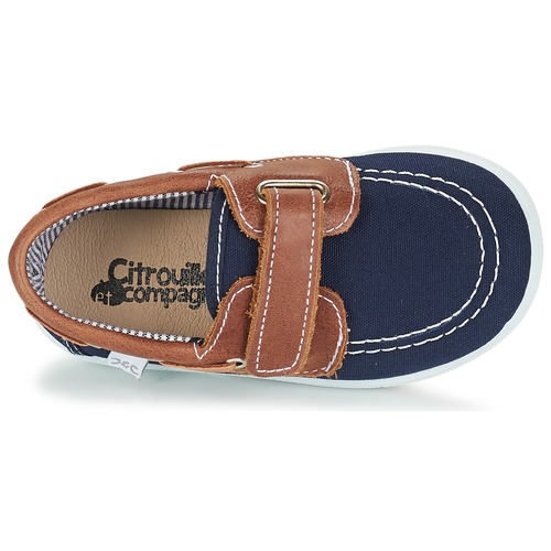 Citrouille et Compagnie GASCATO Marinho / Castanho