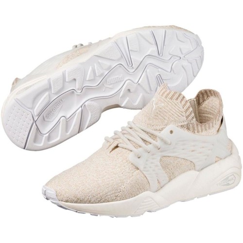 Puma BLAZE CAGE EVO KNIT WN'S  02 MARSHM-SAFARI-BIRCH-WW 364113 Bege