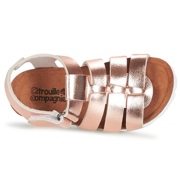 Citrouille et Compagnie MALIA Bronze