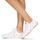 Sapatos Mulher Sapatilhas Converse Chuck Taylor All Star-Ox Branco / Laranja