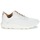 Sapatos Homem Sapatilhas Timberland FLYROAM Branco