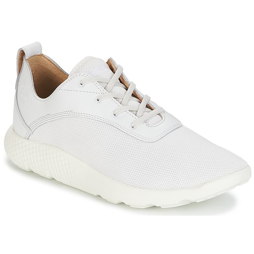 Sapatos Homem Sapatilhas Favourites Timberland FLYROAM Branco