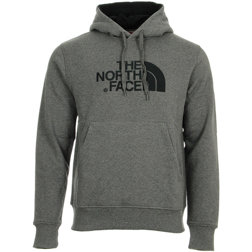 Textil Homem Sweats The North Face The Dust Company Cinza