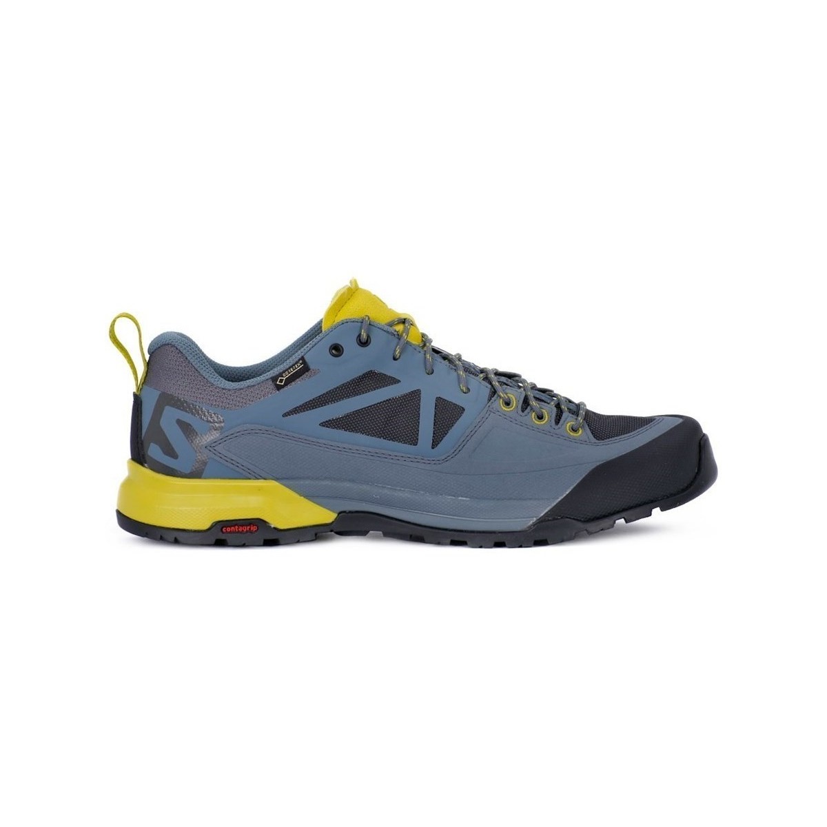 Sapatos Homem Sapatilhas de corrida Salomon X Alp Spry Gtx Azul, Amarelo