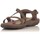 Sapatos Mulher Sandálias Skechers SAPATILHAS  40955 Castanho