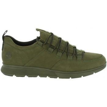 Sapatos Homem Sapatos & Richelieu Timberland A1OEX KILLINGTON Verde