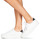 Sapatos Mulher Sapatilhas No Name PLATO Dolfin SNEAKER Branco