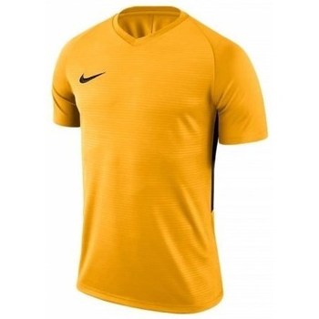Textil Homem T-Shirt mangas curtas Nike alpha Dry Tiempo Premier Amarelo