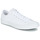 Sapatos Sapatilhas Converse Chuck ALL STAR CORE OX Branco