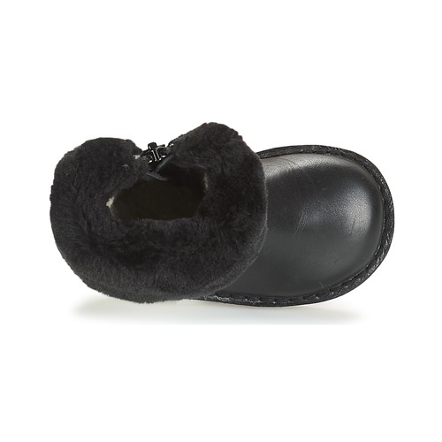 Citrouille et Compagnie JOSY Preto