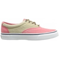 Sapatos Homem Sapatilhas Sperry Top-Sider Striper CVO Two-Tone Chambray  Top-Sider Multicolor