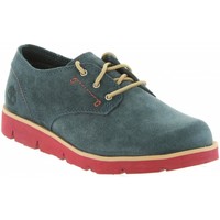 Sapatos Rapaz Sapatilhas Knee Timberland A1M2C RADFORD Azul