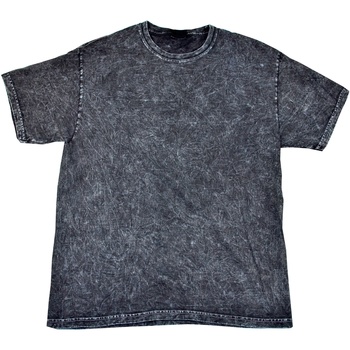 Textil Homem T-Shirt mangas curtas Colortone Mineral Preto