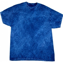 Textil Homem T-Shirt mangas curtas Colortone Mineral Azul