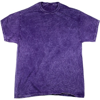 Textil Homem T-Shirt mangas curtas Colortone Mineral Violeta