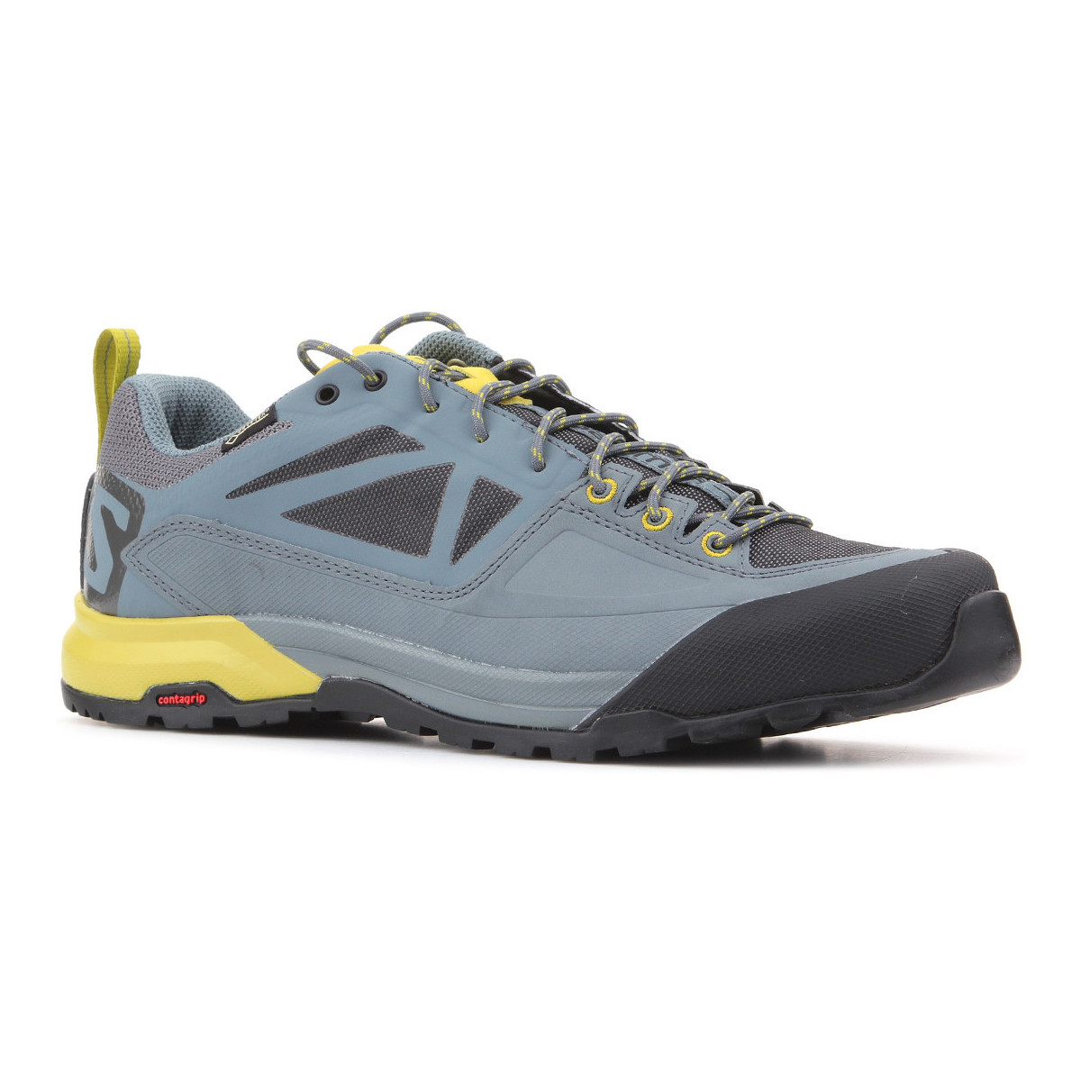 Sapatos Homem Sapatos de caminhada Salomon Trekking shoes  X Alp SPRY GTX 401621 Multicolor